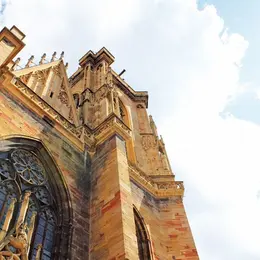 Les meilleurs spots pour aller courir en Alsace