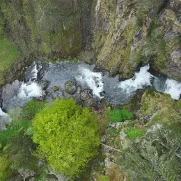 Le Tour de France de la biodiversité : la nature au cœur des étapes du Tour