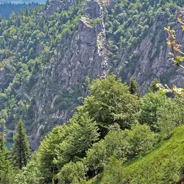 Le tour des lacs vosgiens