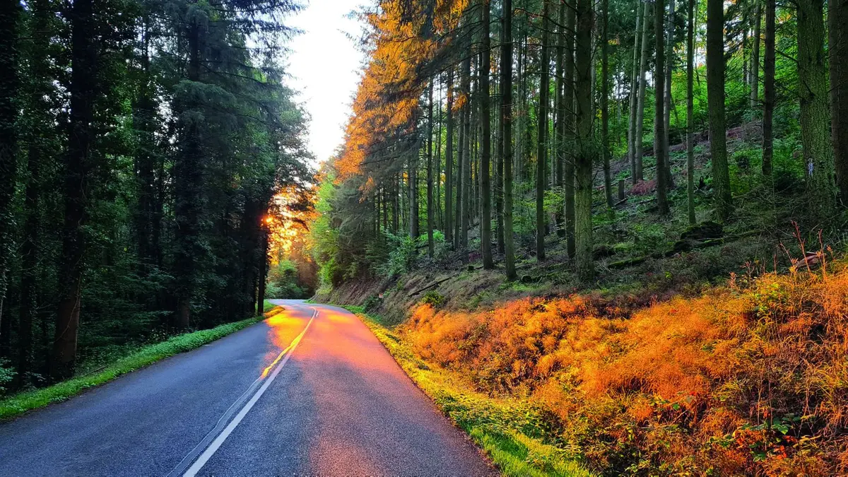 Le trail du haut-Koenigsbourg®