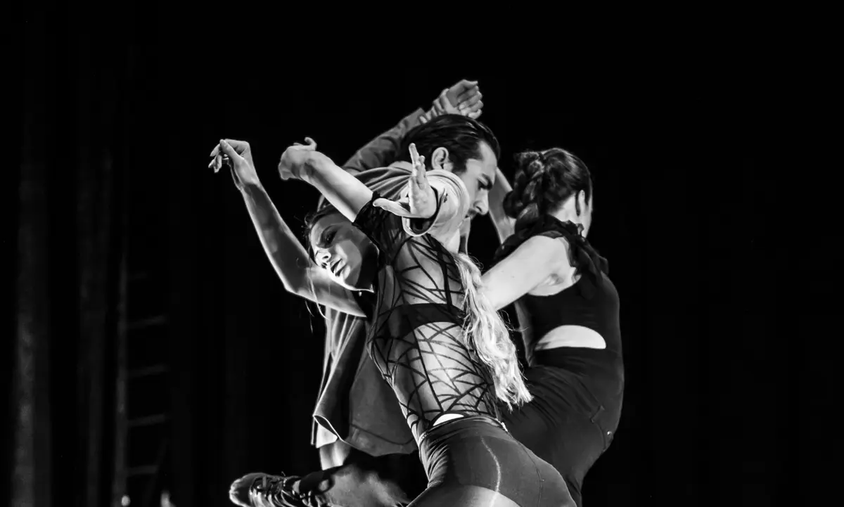 Le tremplin de la danse