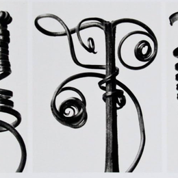Le végétal et la Nouvelle Objectivité – Ernst Haeckel et Karl Blossfeldt