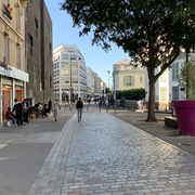 Le Vide Bazar de Canopy