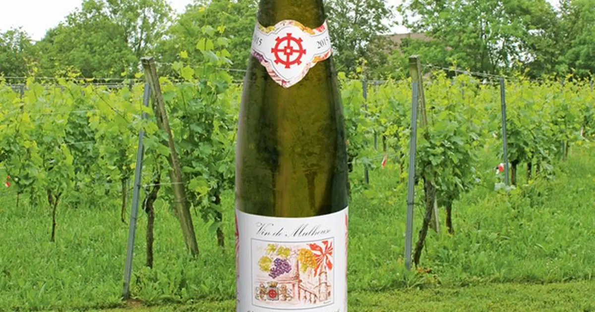 Le vignoble du Klettenberg : où l'on élabore l'unique vin mulhousien ! 2026 : date, horaires, programme, tarifs