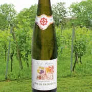 Le vignoble du Klettenberg : où l\'on élabore l\'unique vin mulhousien !