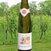 Le vignoble du Klettenberg : où l\'on élabore l\'unique vin mulhousien !