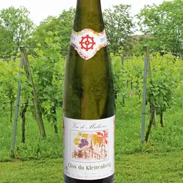 Le vignoble du Klettenberg : où l'on élabore l'unique vin mulhousien !