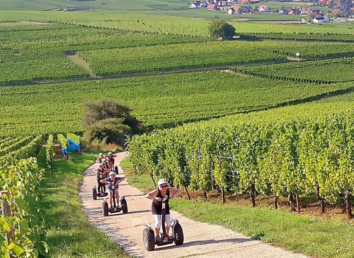 Le vignoble en segway