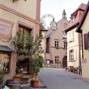 Le sentier des Grands Crus, vue imprenable sur le vignoble alsacien