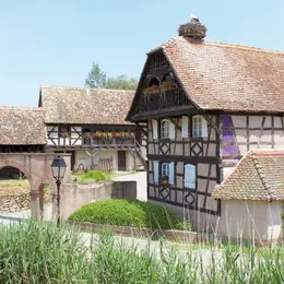 Match : Le village de l’Ecomusée VS Le vrai village alsacien