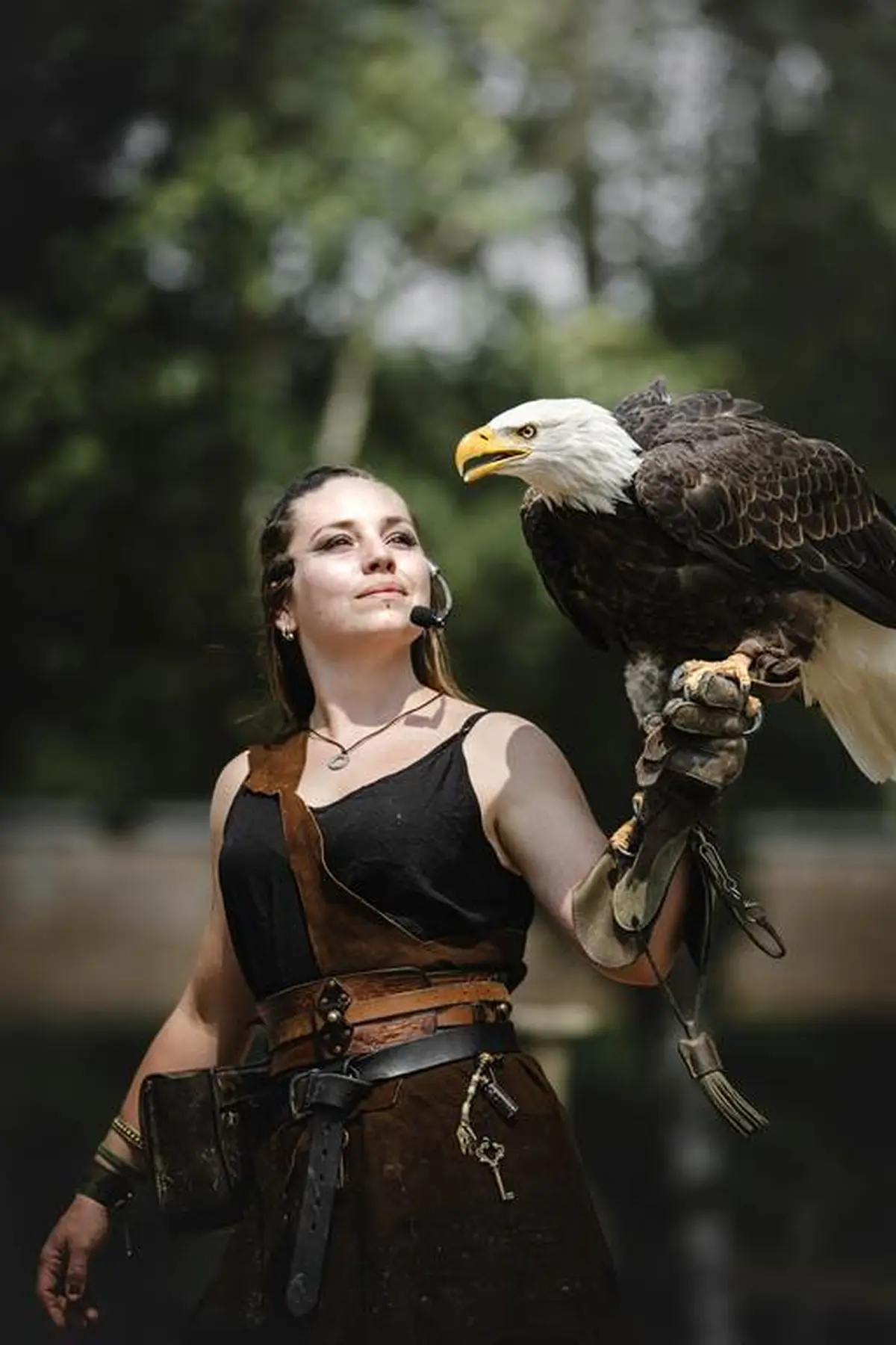 Le Vol des oiseaux : spécial Viking