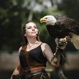Le Vol des oiseaux : spécial Viking