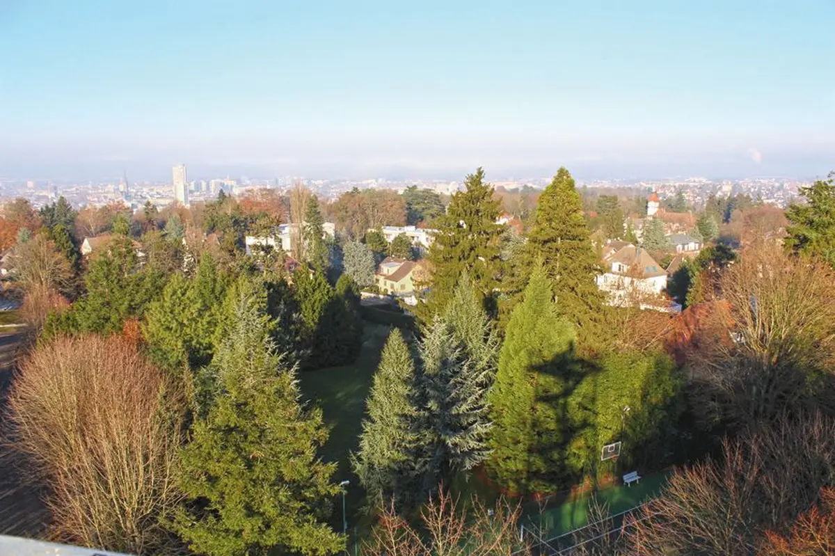 Le Waldeck & le Zoo de Mulhouse
