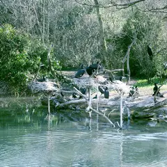 Zoo de Bâle