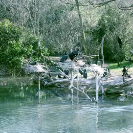 Zoo de Bâle