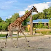 Le Zoo de Mulhouse à l'honneur dans Grands Reportages sur TF1