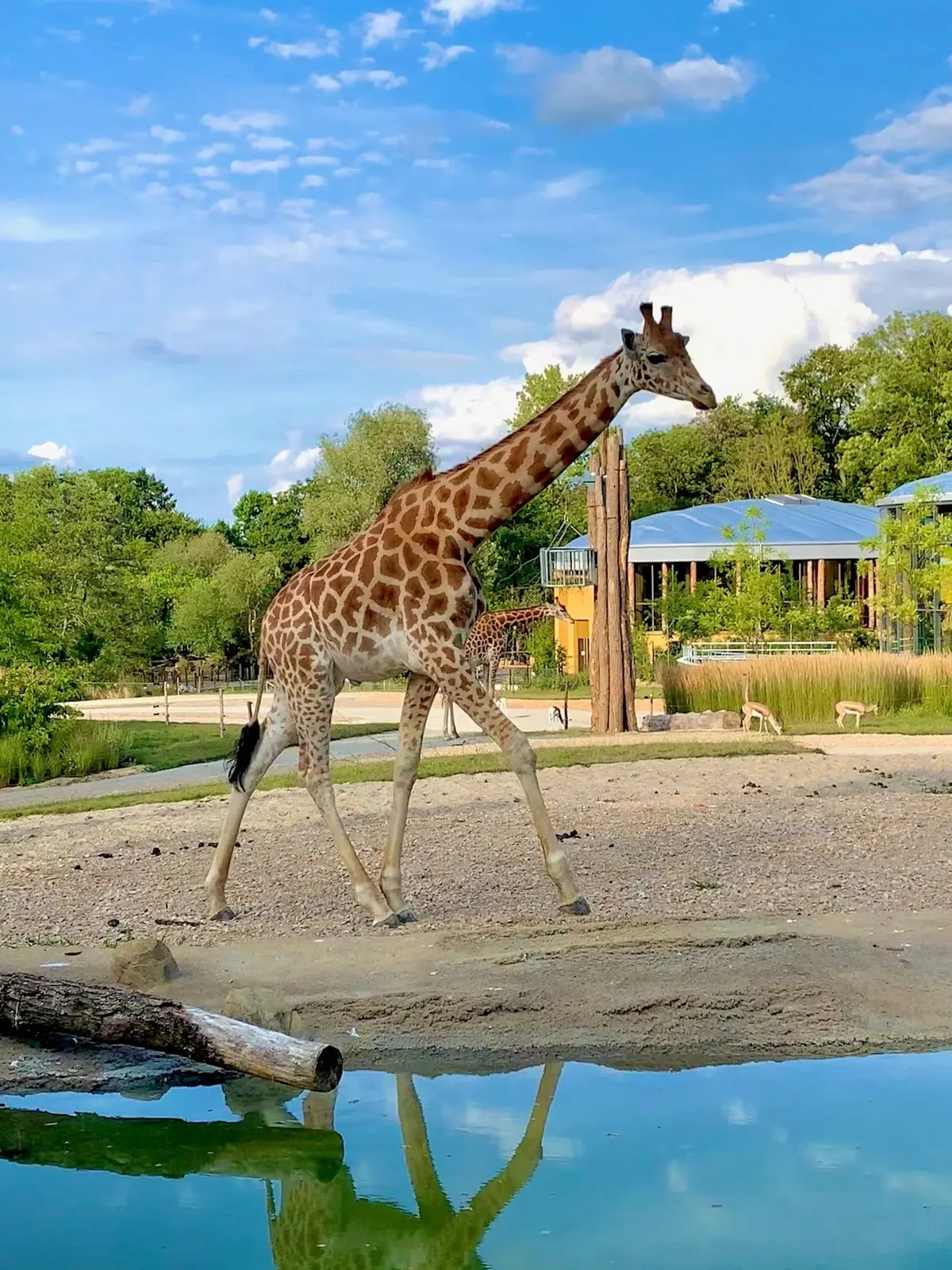 Le Zoo de Mulhouse à l'honneur dans Grands Reportages sur TF1