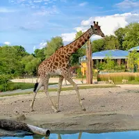 Le Zoo de Mulhouse à l'honneur dans Grands Reportages sur TF1 DR
