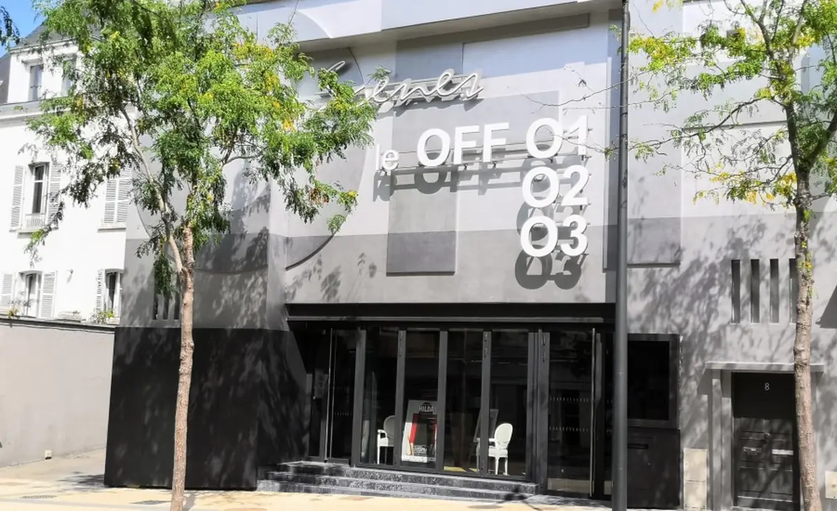 Lectorale / Bovary c'est qui ? Femme reconstruite ou homme déconstruit ? [Flaubert 2 -le retour]