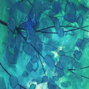 Lecture à l'ombre des arbres à Senlis