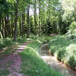 Lecture De Paysage Ambulatoire
