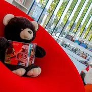Lecture doudou