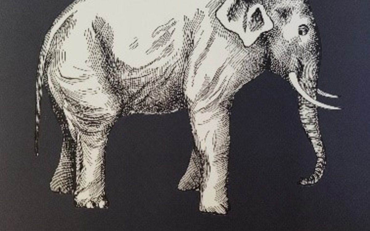 Lecture jeunesse bilingues en français et en bambara