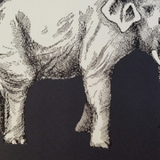 Lecture jeunesse bilingues en français et en bambara