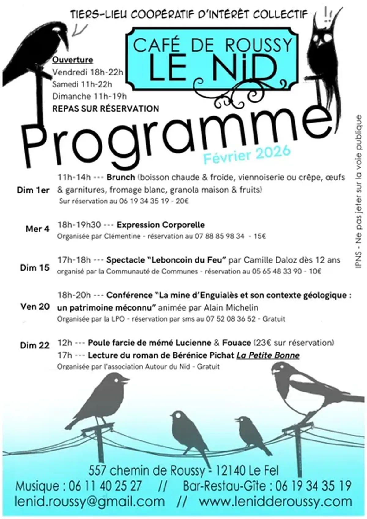 Lecture - La Petite Bonne de Bérénice Pichat