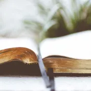 Lecture musicale : Un conte dans un arbre