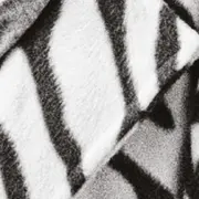 Lecture Passe-Moi le Texte - La Grande Prêtresse - Les Francophonies