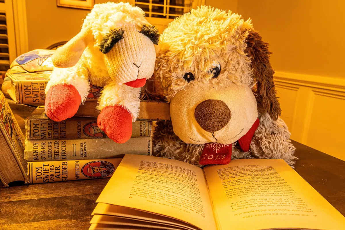 Lecture Pour Les Tout-Petits