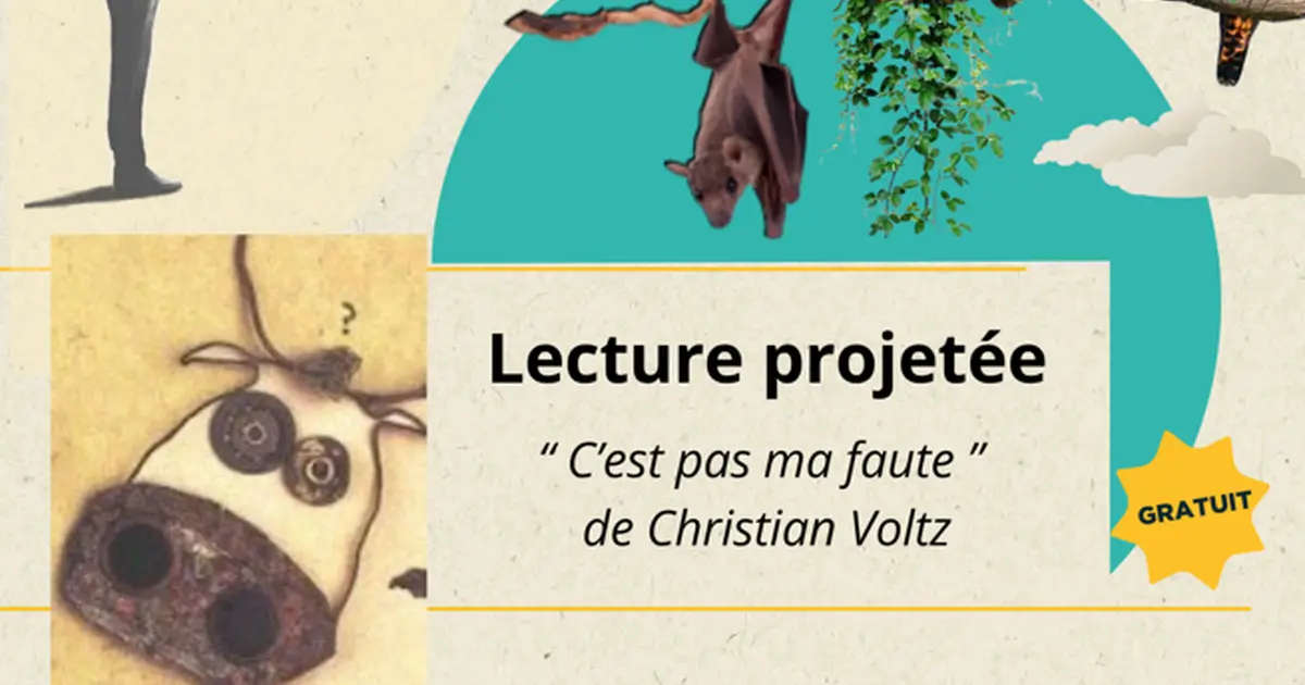 Lecture projetée
