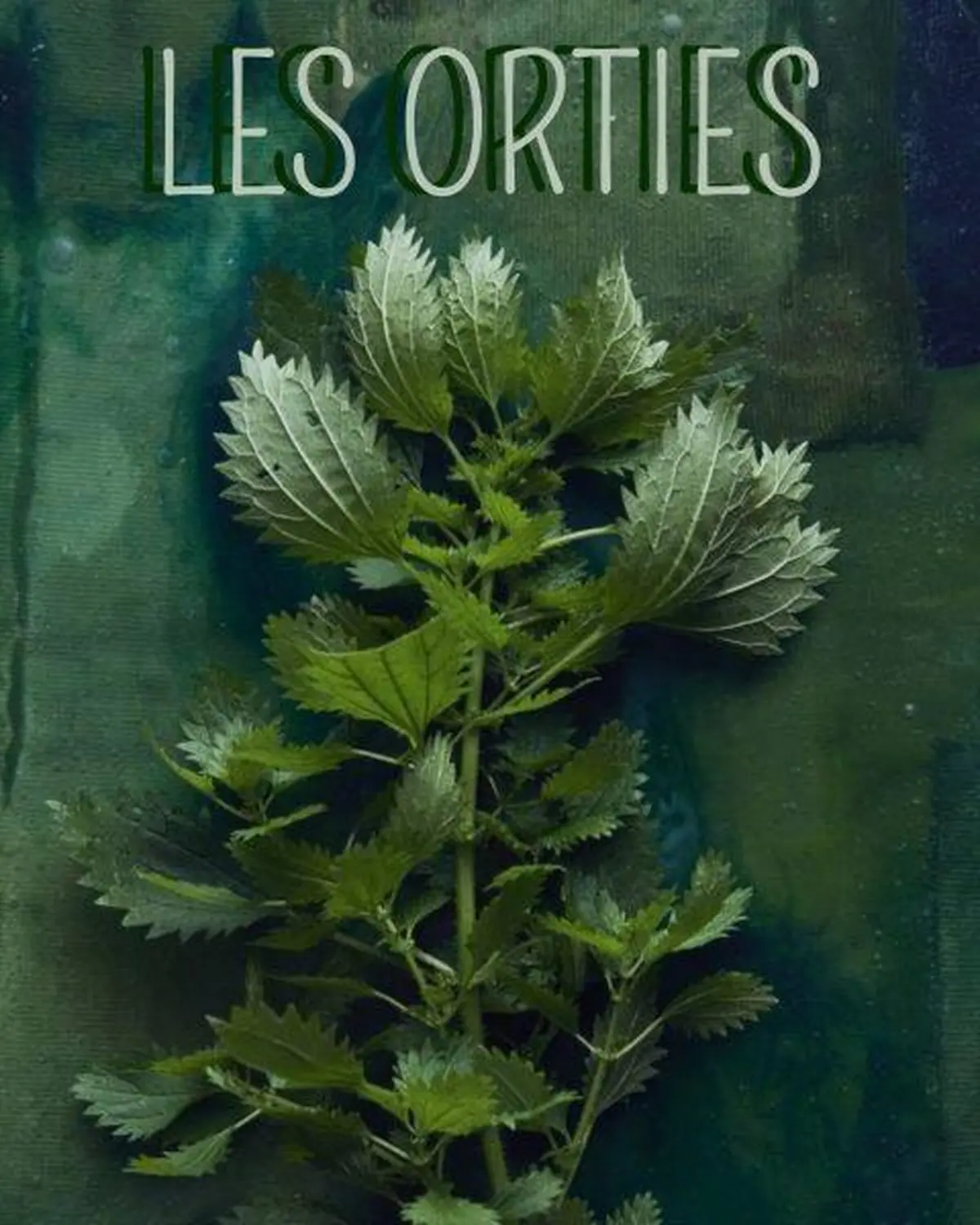 Lecture-Spectacle Les Orties
