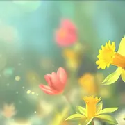 Lectures à voix hautes - Printemps des poètes