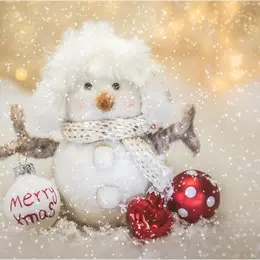 Lectures d'histoires au marché de Noël