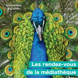 Lectures en miroir