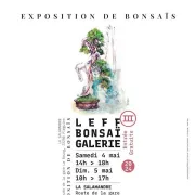 Leff Bonsaï Galerie III