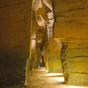 Les 1001 vies des troglos