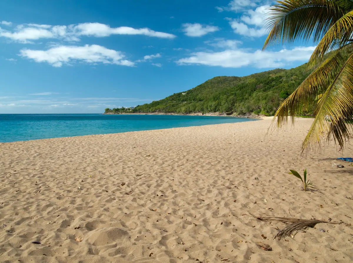 La plage de Grande Anse à Deshaies, en Guadeloupe 