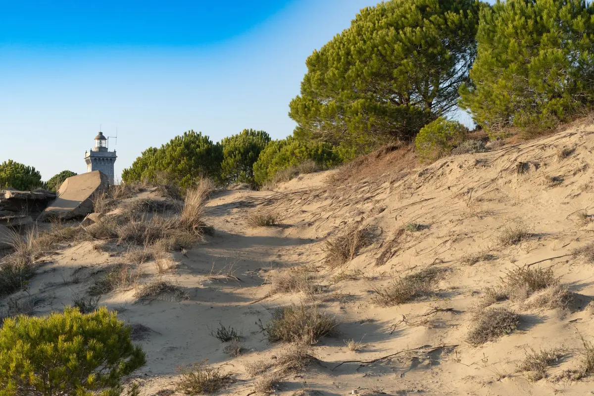 La plage de l'Espiguette et son phare au Grau-du-Roi 