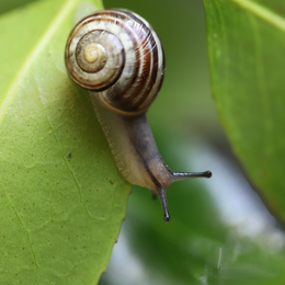 Les 24h de la biodiversité
