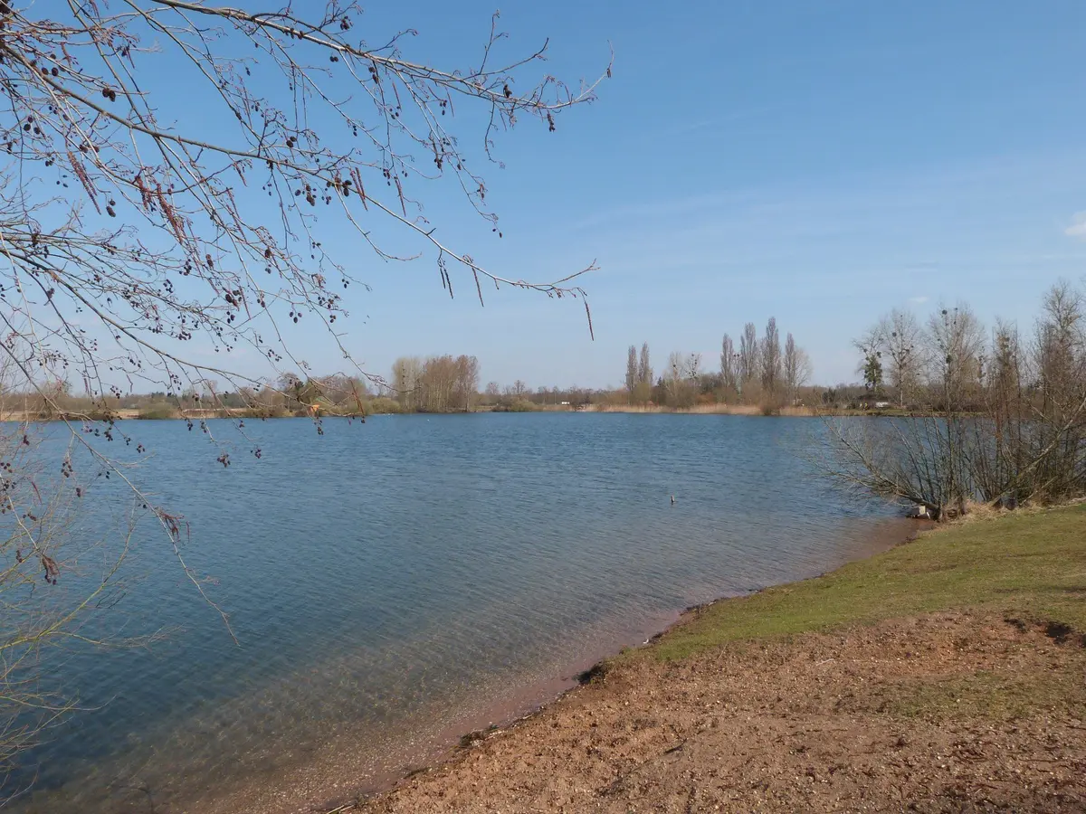 Les 3 km du plan d'eau de Brumath