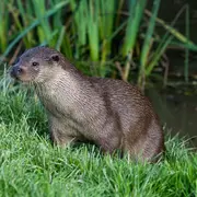 Les 30 ans de l'Énergie à Chooz