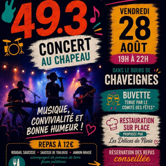 Les 49.3 en concert