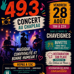 Les 49.3 en concert