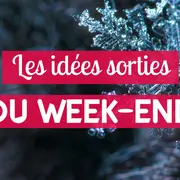 Les 5 meilleures sorties à Mulhouse ce week-end (30 janvier au 1er février)