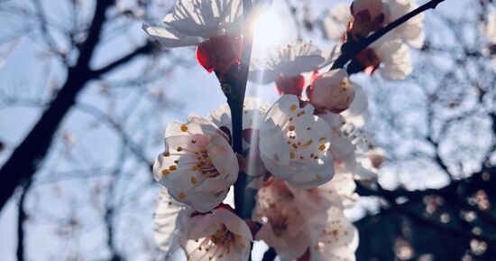 Les 5 meilleures sorties ce week-end