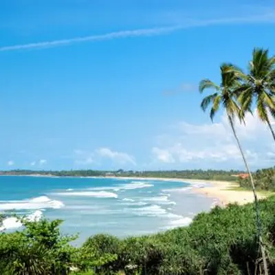 Les 5 meilleures sorties à Mulhouse ce week-end (6 au 8 février)