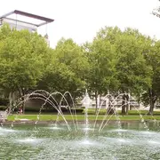 Les meilleurs spots pour aller courir en Alsace